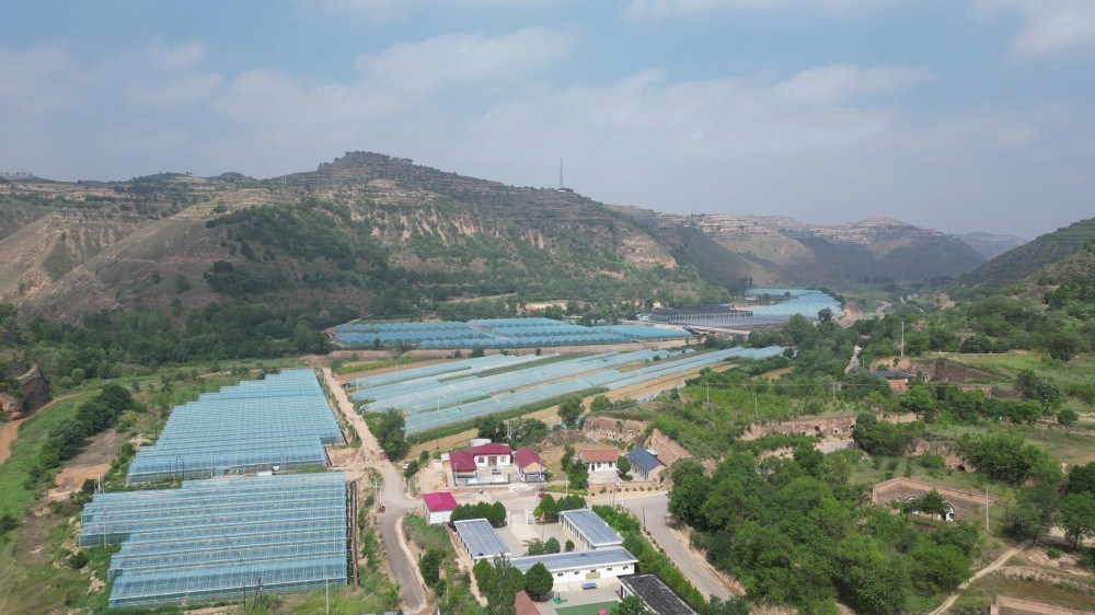 “農(nóng)”墨重彩繪振興——新集鎮(zhèn)“十四五” 產(chǎn)業(yè)發(fā)展綜述